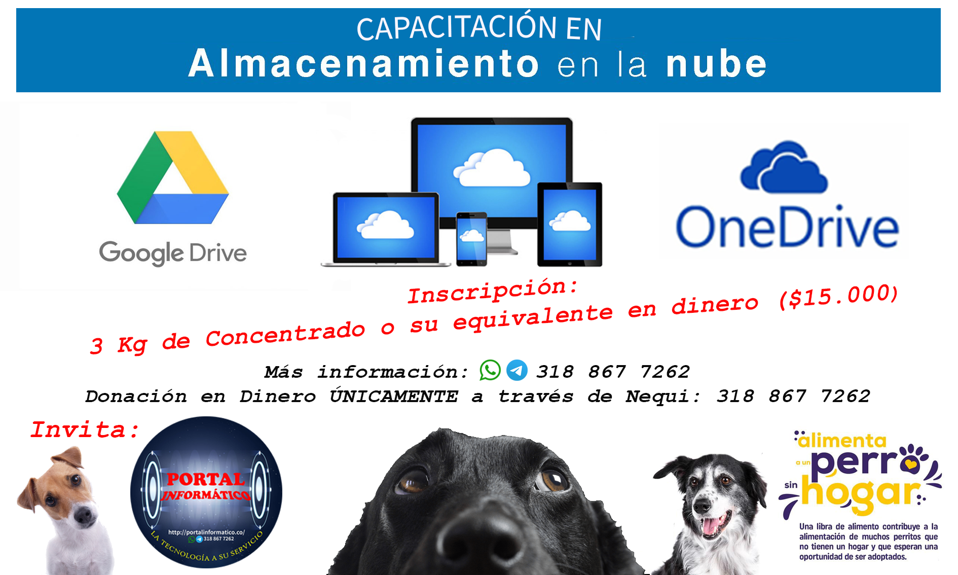 CAPACITACIÓN ALIMENTO PARA PERRITOS